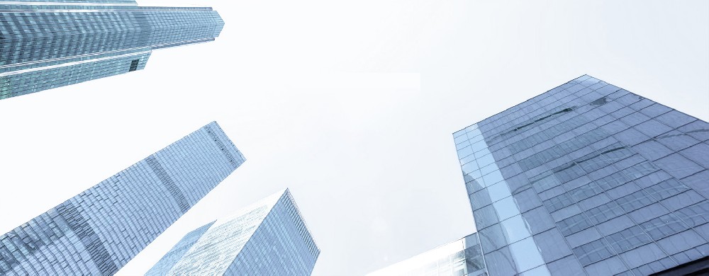 1737103954607205.jpg 公司简介 拷贝.jpg